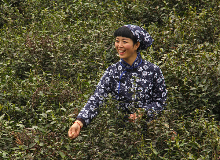 优酷直艾米 经典